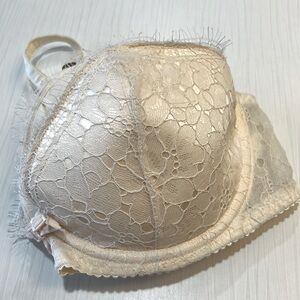 Brand New AP Bra (34F)